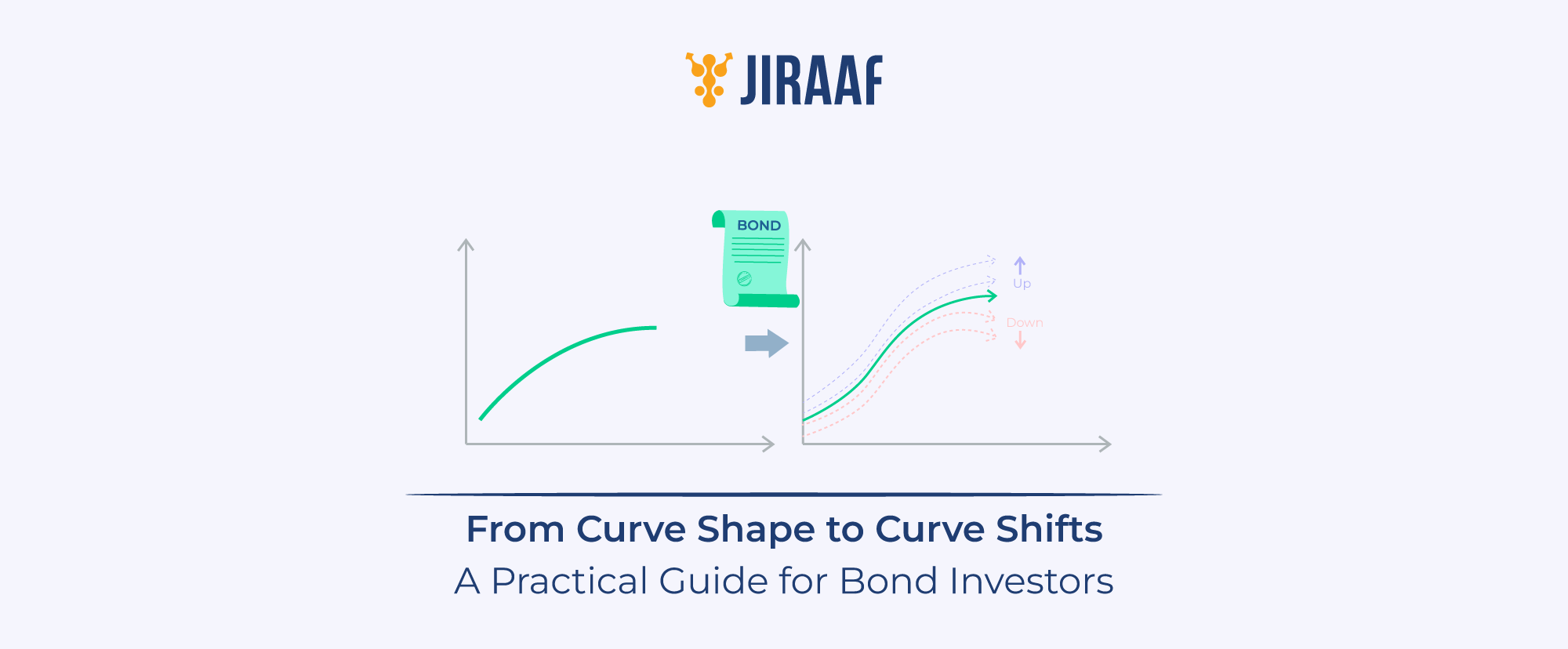 Yield Curve Shifts
